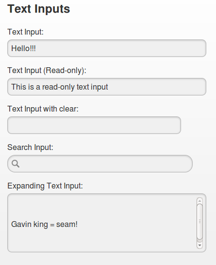 text inputs widnow